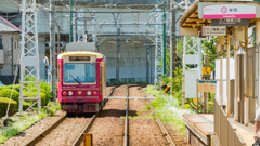 都電荒川線③