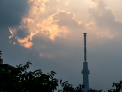 夕暮れ撮影散歩⑦
