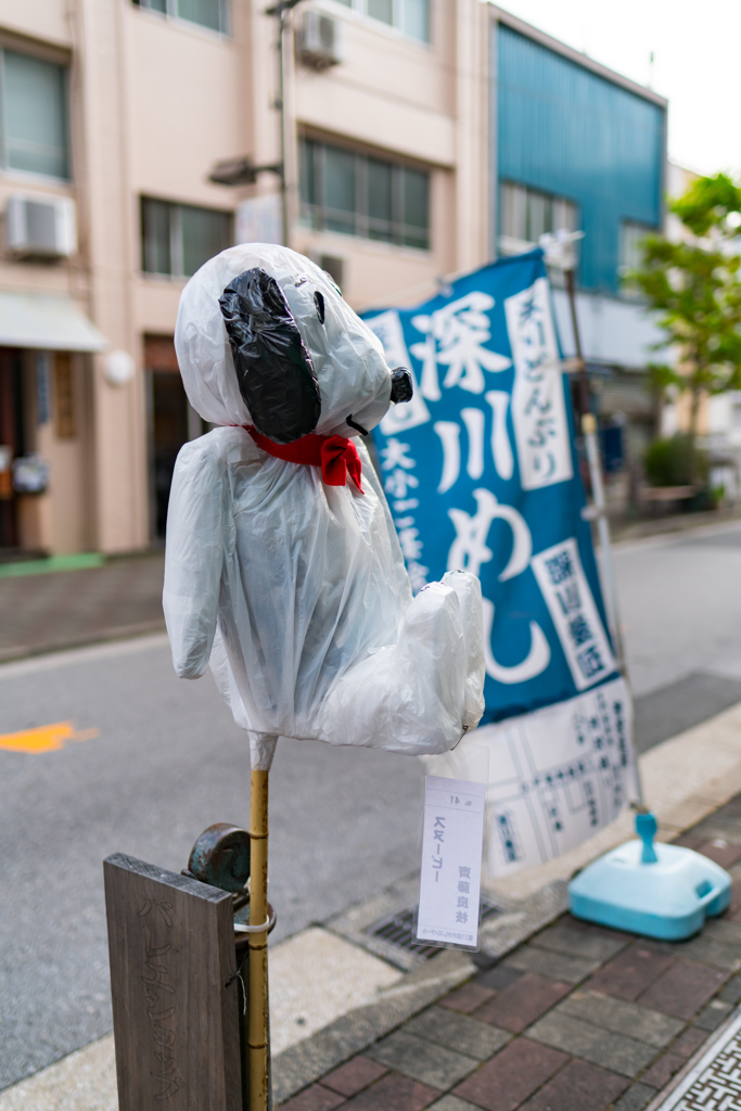 清澄白河への道⑦