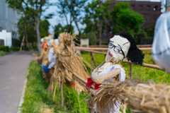 横十間川親水公園⑥