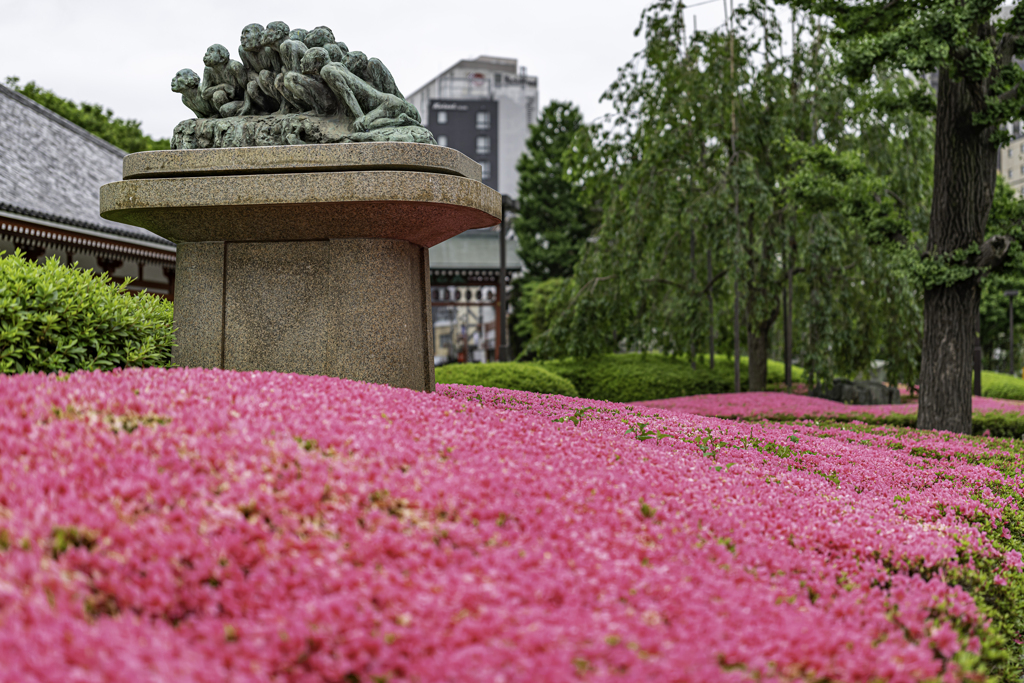 Pinky・浅草③＾＾￥