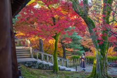 秋の京都ひとり旅＾＾￥ in 東福寺