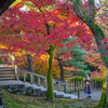 秋の京都ひとり旅＾＾￥ in 東福寺