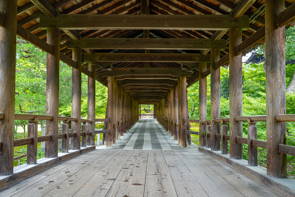 京都 東福寺 回廊！