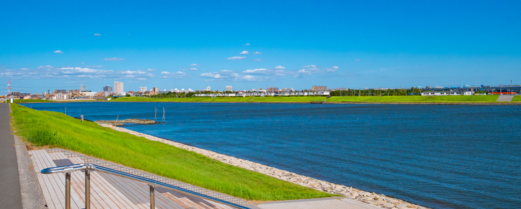 秋空のような爽快な空　葛西臨海公園撮影散歩⑤