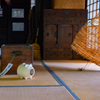 都市農業公園②