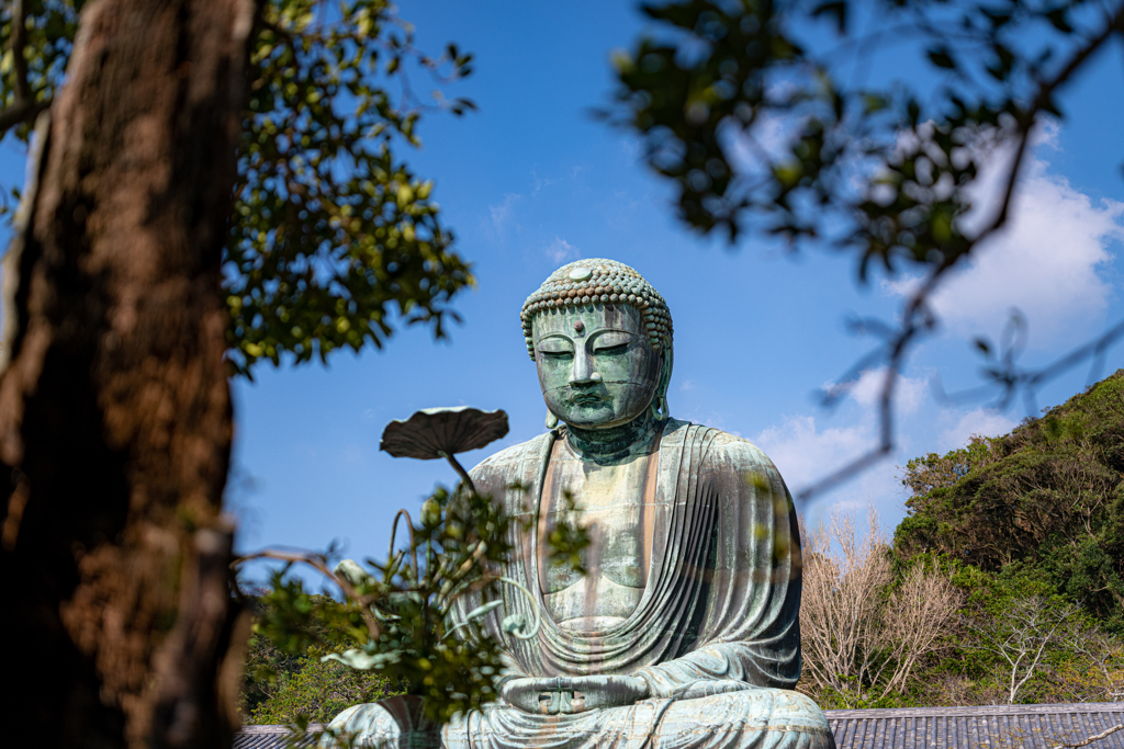 鎌倉の大仏さま　①