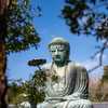 鎌倉の大仏さま　①