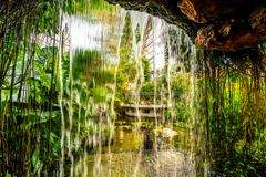 夢の島熱帯植物館②