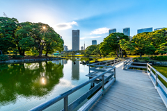 浜離宮恩賜庭園⑧