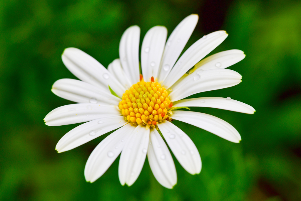 台風の直撃の前のマクロ④