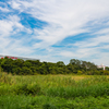 東京港野鳥公園②