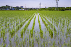 ＴＨＥ田園②＾＾￥