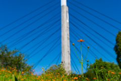台風が過ぎ去った後の晴天②