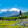 富士山と富士スピードウェイの順位搭？