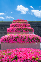 花の階段＾＾￥C-PL使用