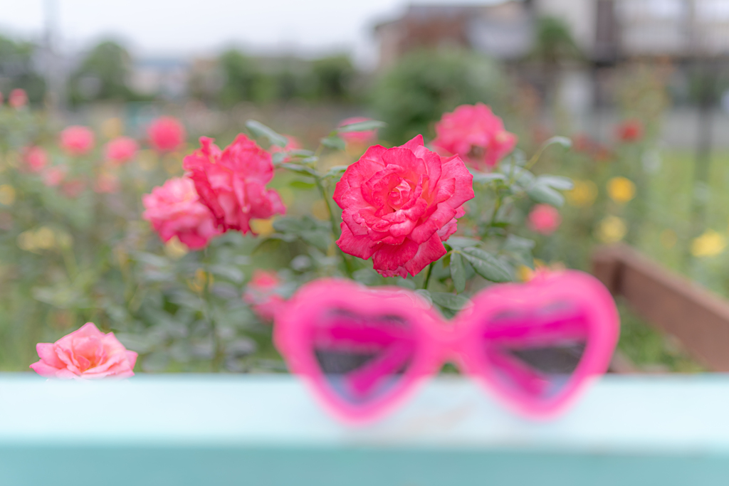 ピンクの花園！