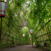 向島百花園　萩のトンネル