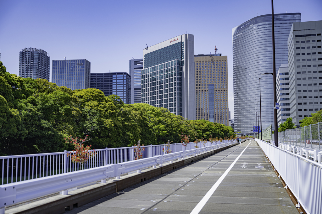 休園している浜離宮の側から＾＾￥