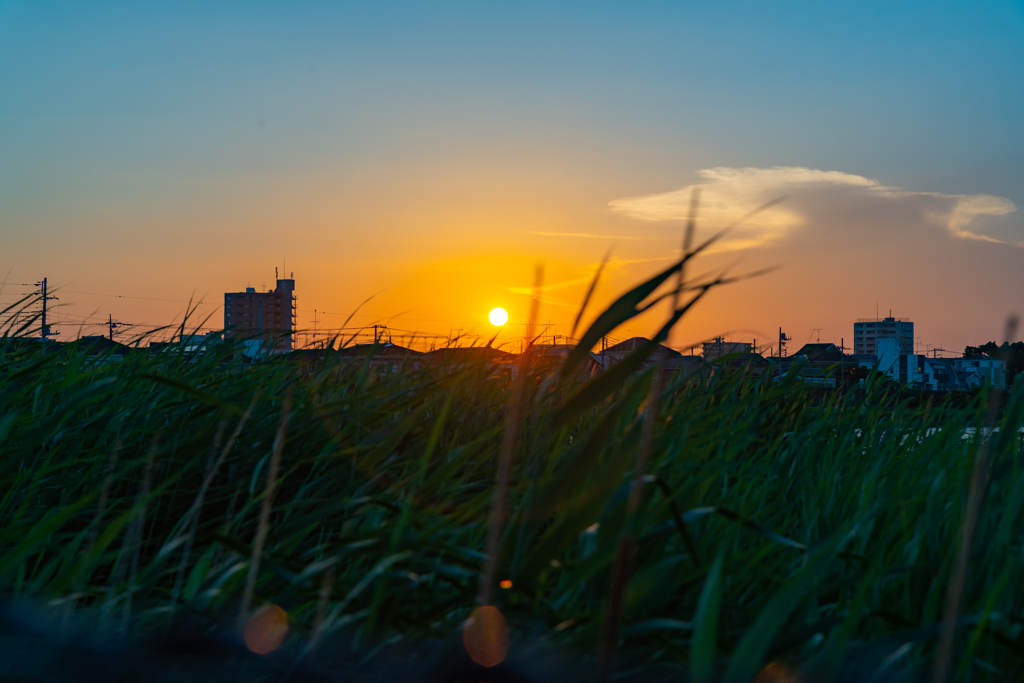 夕暮れに一度も行ったこともない道を④