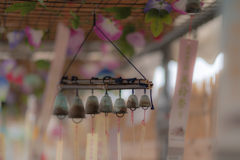 西新井大師　風鈴祭り③