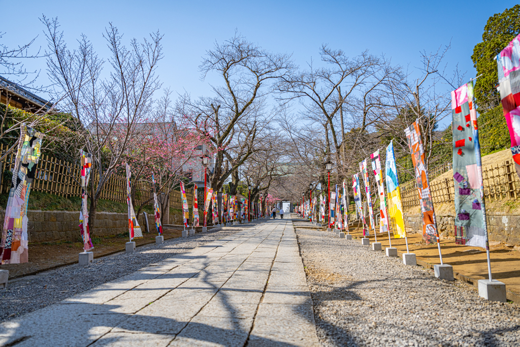 市川　鬼子母神＾＾￥