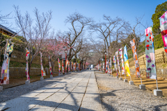 市川　鬼子母神＾＾￥