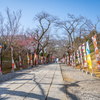 市川　鬼子母神＾＾￥