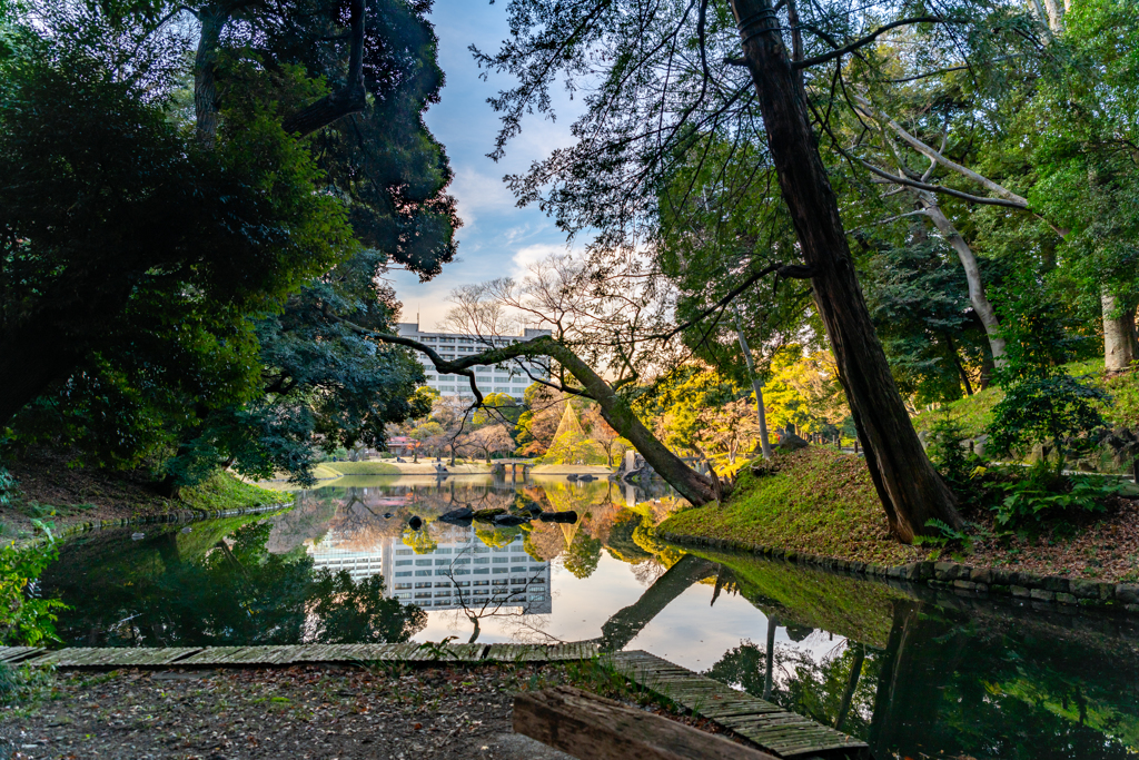 小石川後楽園 ②