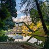 小石川後楽園 ②