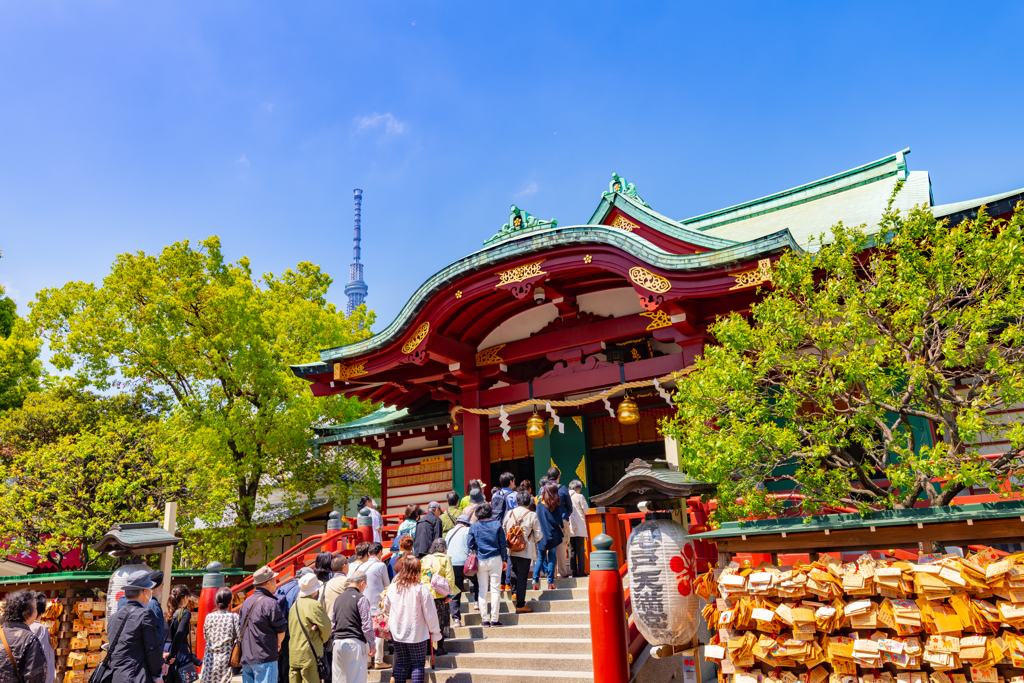 亀戸天神 藤まつり その７