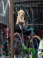 アクロバット子犬！