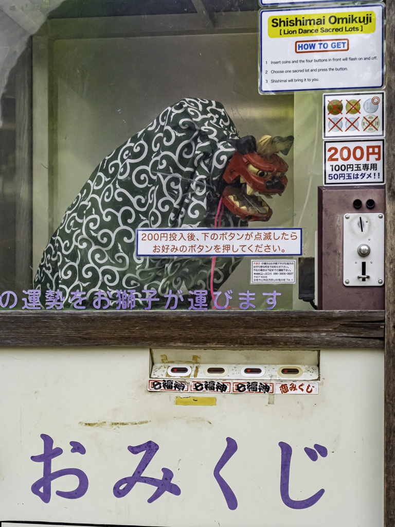 獅子舞いおみくじ＾＾￥