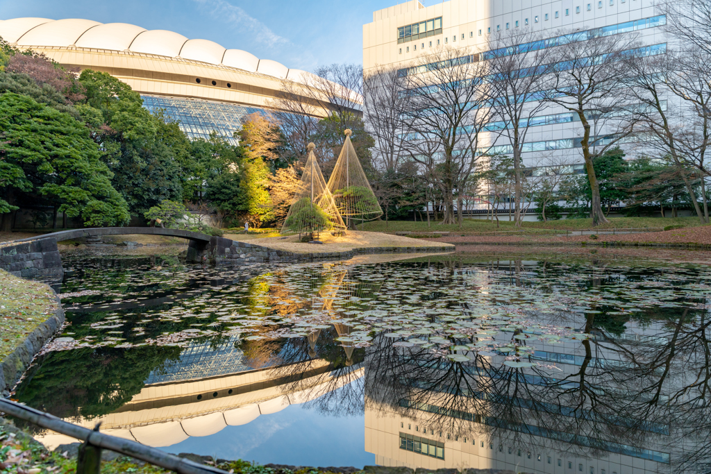 小石川後楽園 ①