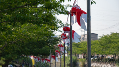 そういえば近所の川で①