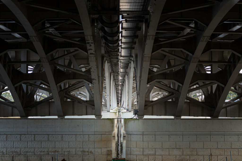 ビハインド・ザ・手賀大橋＾＾￥