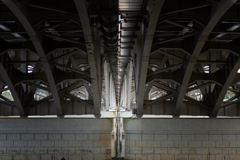 ビハインド・ザ・手賀大橋＾＾￥