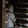 本土寺　小僧さま？