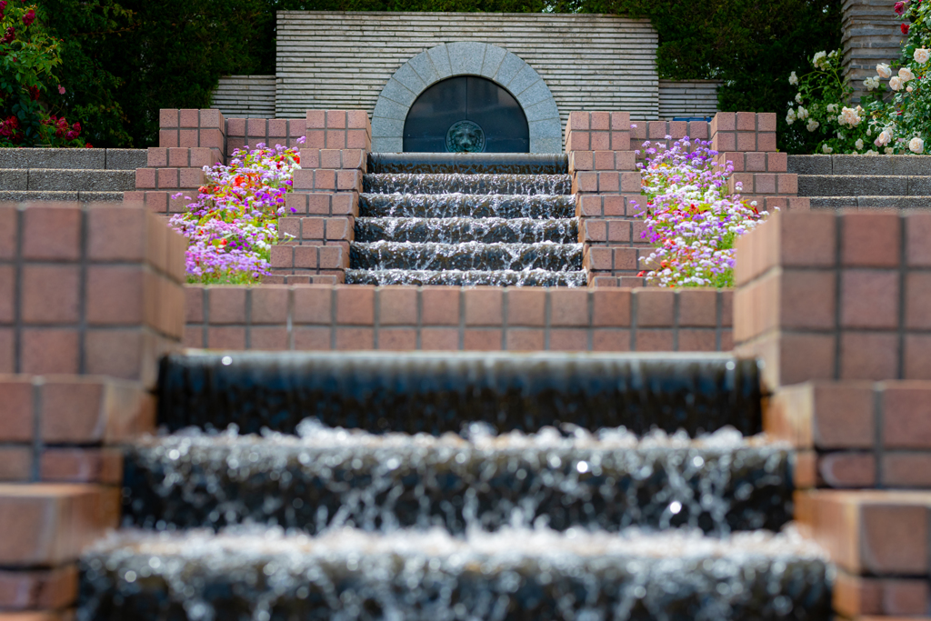 谷津バラ園　水遊び①