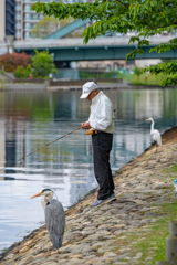 釣り人と鳥＾＾￥