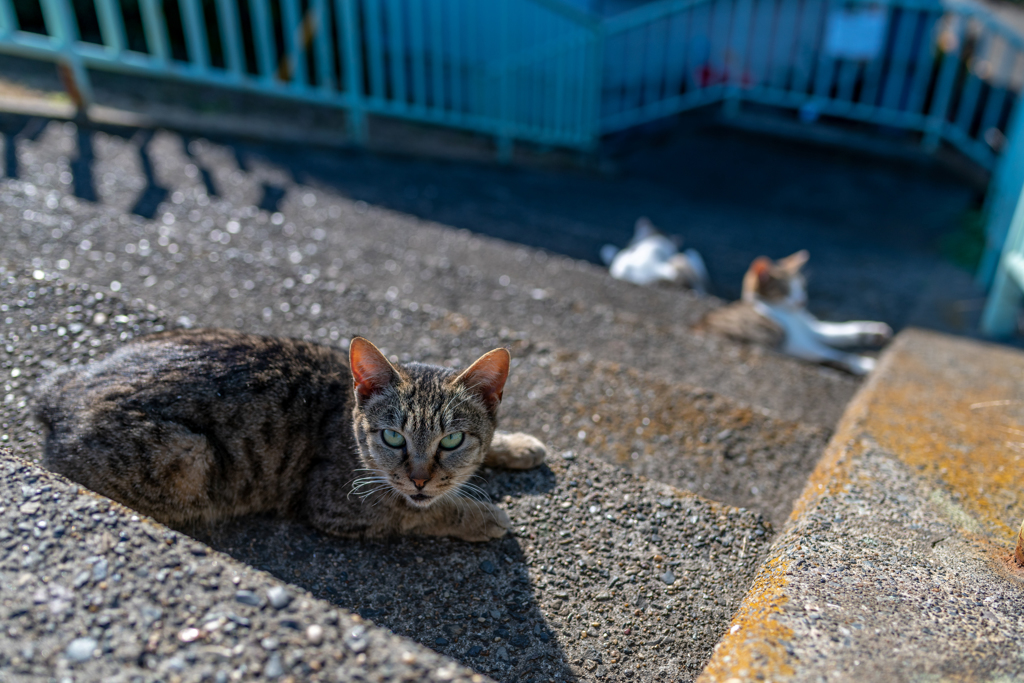 何見てるんだーーーｗ