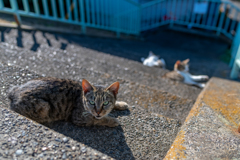 何見てるんだーーーｗ