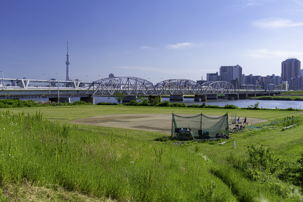グラウンドとスカイツリー＾＾￥