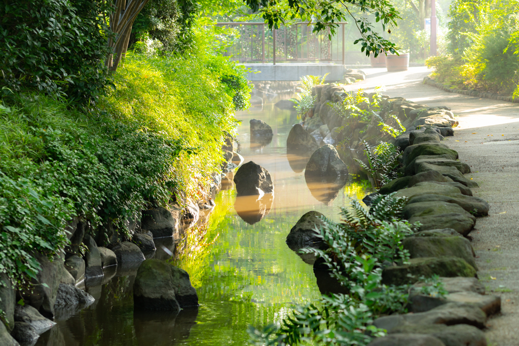 本日は快晴なり＾＾￥③