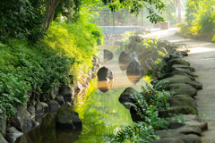 本日は快晴なり＾＾￥③