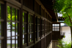 本土寺　渡り廊下の外では・・・