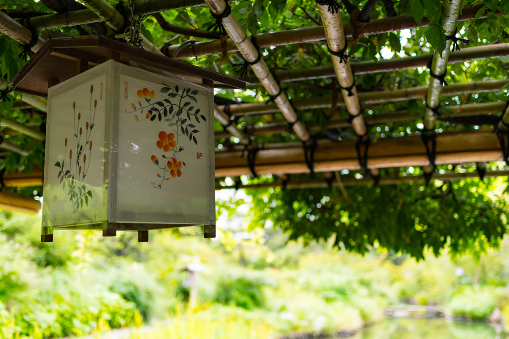 向島百花園⑥