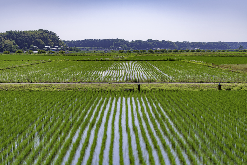 ＴＨＥ田園＾＾￥