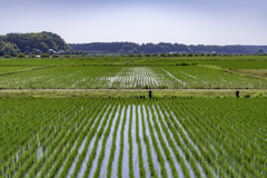 ＴＨＥ田園＾＾￥