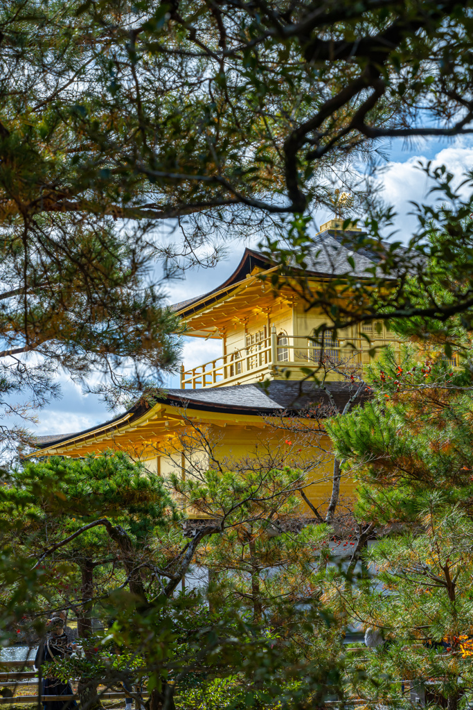 2022・金閣寺